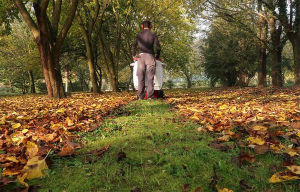 Weibang intrepid lv 800 h pro leaf & litter vacuum