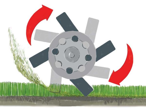 Weibang intrepid wb486crb petrol scarifier