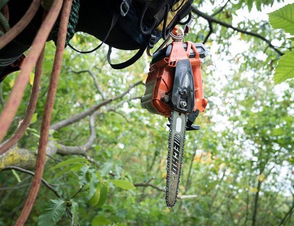 Echo 56v top handle chainsaw professional - dcs-2500t - image 6